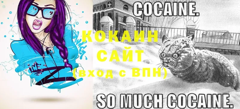 COCAIN Эквадор  где продают   Покачи 