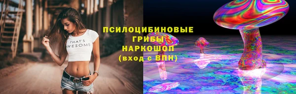 spice Лабытнанги