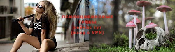 spice Лабытнанги