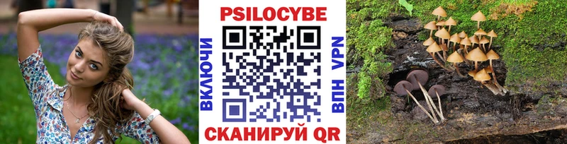 наркота Покачи Псилоцибиновые грибы мицелий
